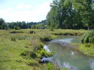 La Créquoise (4)