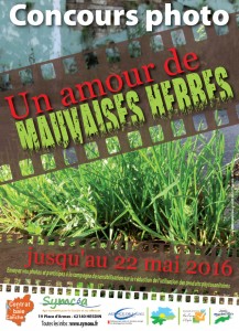 affiche_unamourdemauvaisesherbes